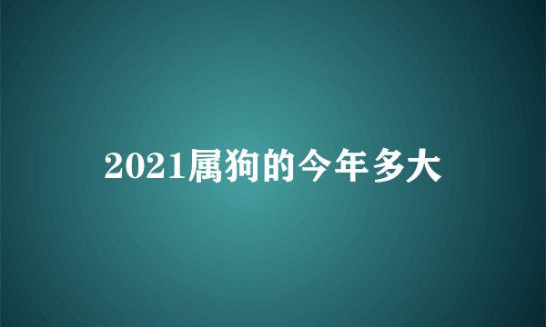 2021属狗的今年多大
