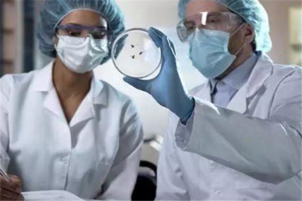 邓稼先隐姓埋名消失28年，科学家的家属生活有多难？