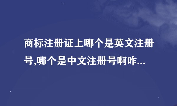 商标注册证上哪个是英文注册号,哪个是中文注册号啊咋看啊不懂，求懂的人指点啊。