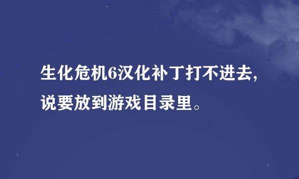 生化危机6汉化补丁打不进去,说要放到游戏目录里。