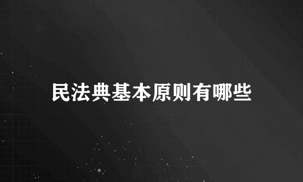 民法典基本原则有哪些