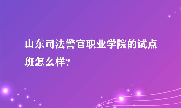 山东司法警官职业学院的试点班怎么样？