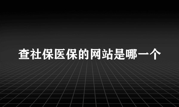 查社保医保的网站是哪一个