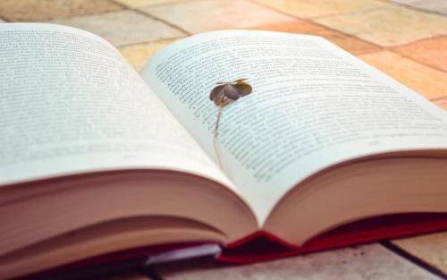 计算机网络技术就业方向？