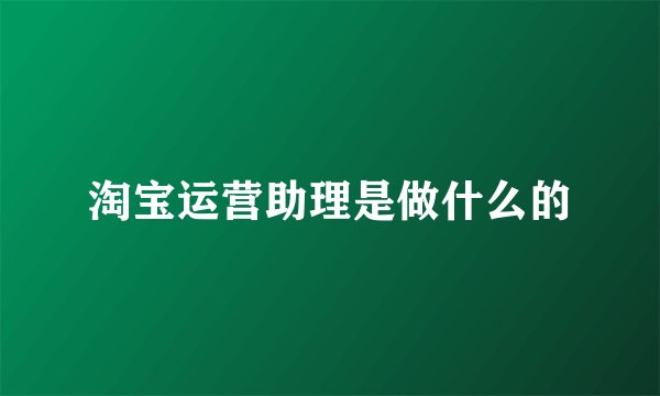 淘宝运营助理是做什么的