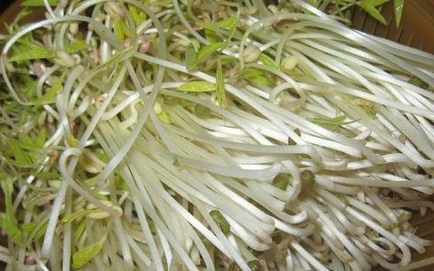 去湿气重吃什么好方法