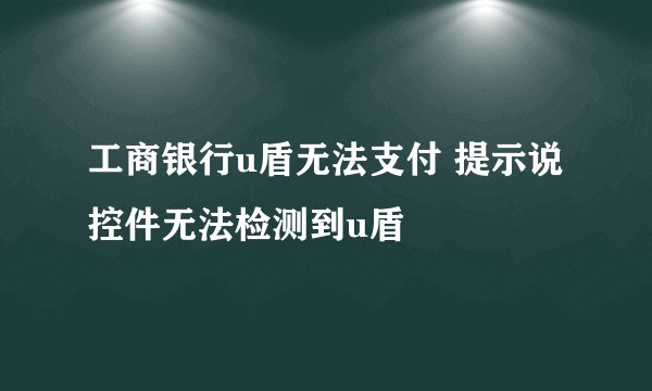 工商银行u盾无法支付 提示说控件无法检测到u盾