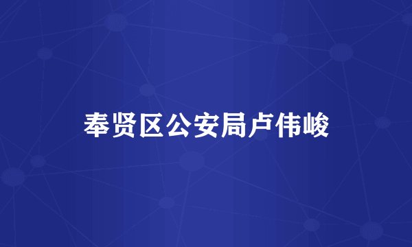奉贤区公安局卢伟峻