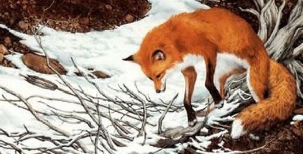 有一个猎人他到一个森林里面,然后用猎枪打了一只狐狸,可是为什么最后猎人死掉了