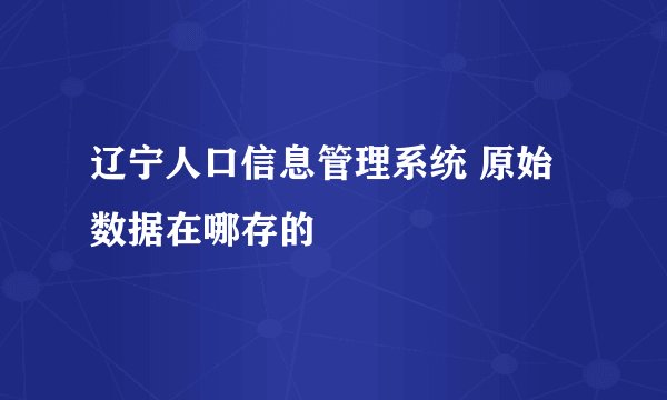 辽宁人口信息管理系统 原始数据在哪存的