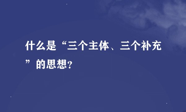 什么是“三个主体、三个补充”的思想？