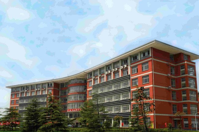 上海震旦职业学院学费