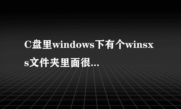 C盘里windows下有个winsxs文件夹里面很多文件，像这样 可不可以删除啊？