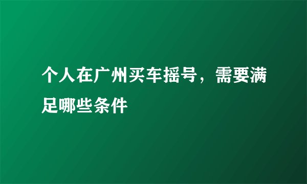 个人在广州买车摇号，需要满足哪些条件