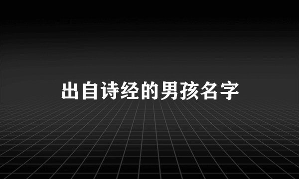 出自诗经的男孩名字