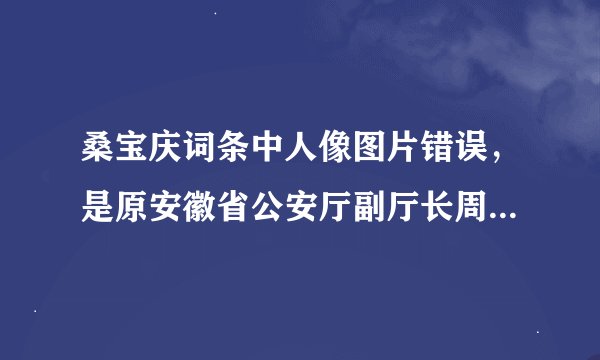 桑宝庆词条中人像图片错误，是原安徽省公安厅副厅长周礼明的照片。