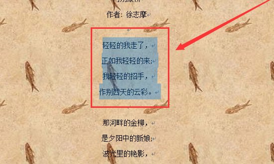 word2010如何将文字设置成红色,强调文字颜色2,淡色40%