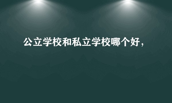 公立学校和私立学校哪个好，