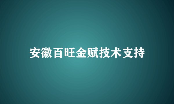 安徽百旺金赋技术支持