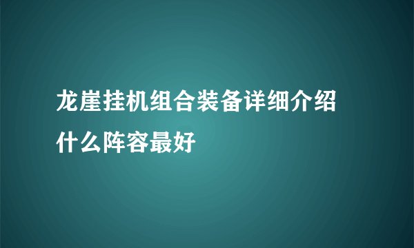 龙崖挂机组合装备详细介绍 什么阵容最好