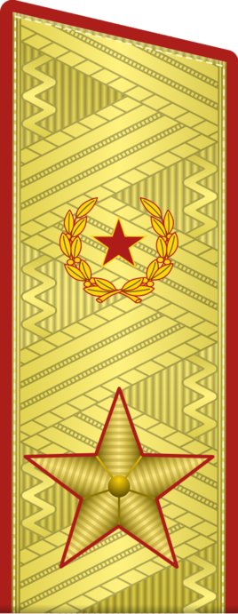 元帅和大将的肩章区别在哪里?