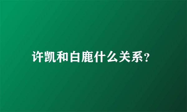 许凯和白鹿什么关系？