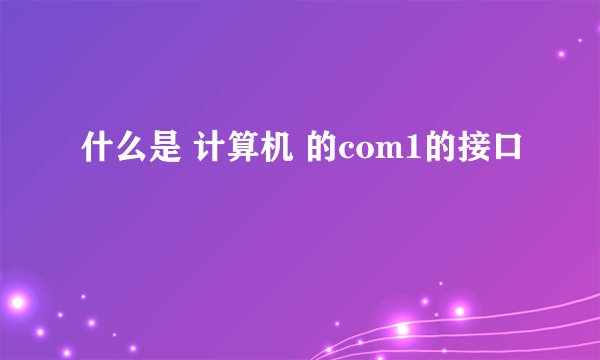 什么是 计算机 的com1的接口