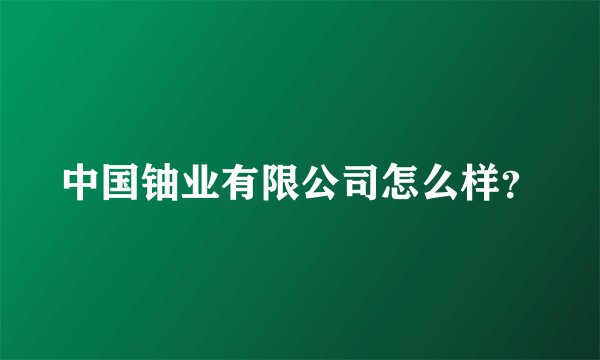 中国铀业有限公司怎么样？
