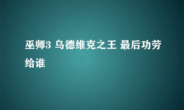 巫师3 乌德维克之王 最后功劳给谁