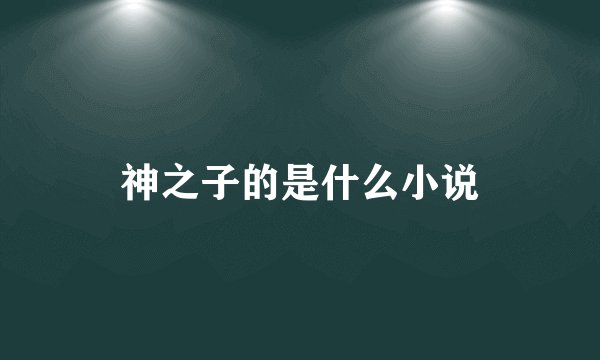神之子的是什么小说