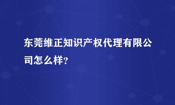 东莞维正知识产权代理有限公司怎么样？