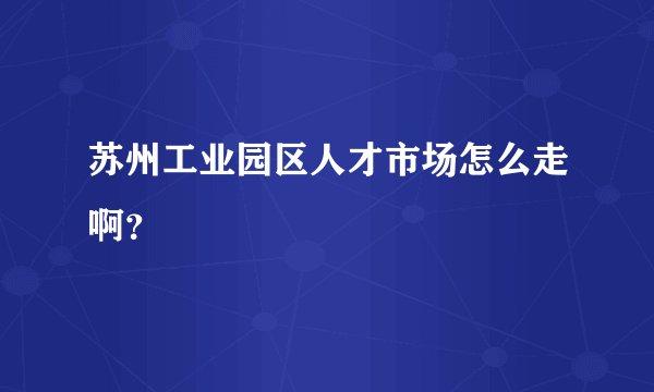 苏州工业园区人才市场怎么走啊？