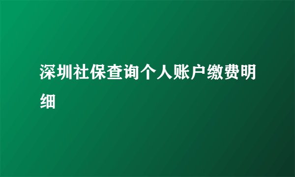 深圳社保查询个人账户缴费明细