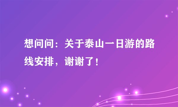 想问问：关于泰山一日游的路线安排，谢谢了！