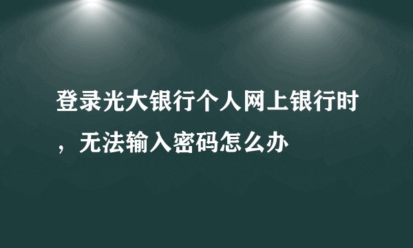 登录光大银行个人网上银行时，无法输入密码怎么办