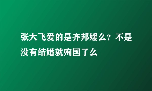 张大飞爱的是齐邦媛么？不是没有结婚就殉国了么