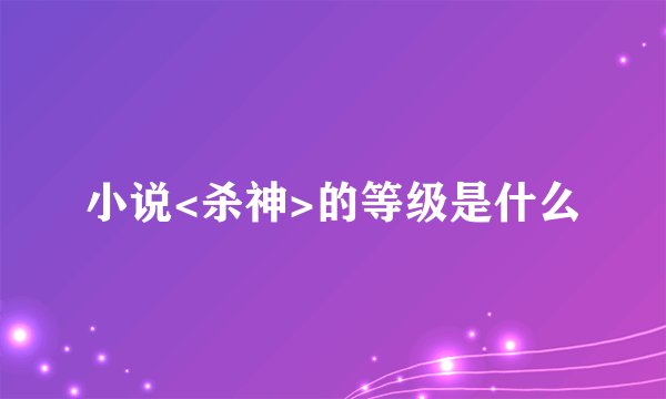 小说<杀神>的等级是什么