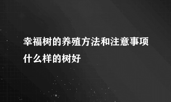 幸福树的养殖方法和注意事项什么样的树好