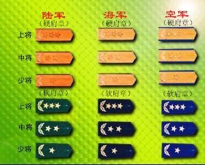 纳粹德国军衔的标志