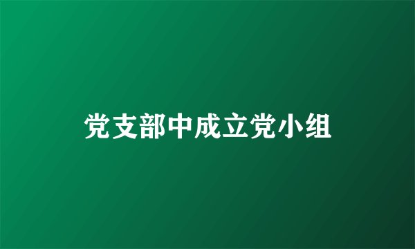 党支部中成立党小组