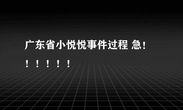 广东省小悦悦事件过程 急！！！！！！