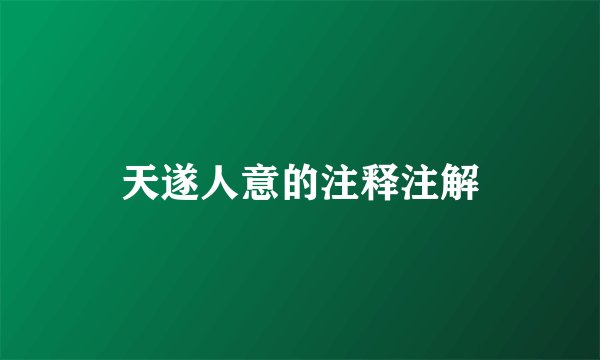 天遂人意的注释注解
