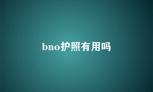 bno护照有用吗
