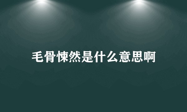 毛骨悚然是什么意思啊