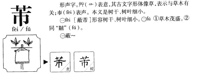 巴金字芾甘，这个“芾”的读音是什么？