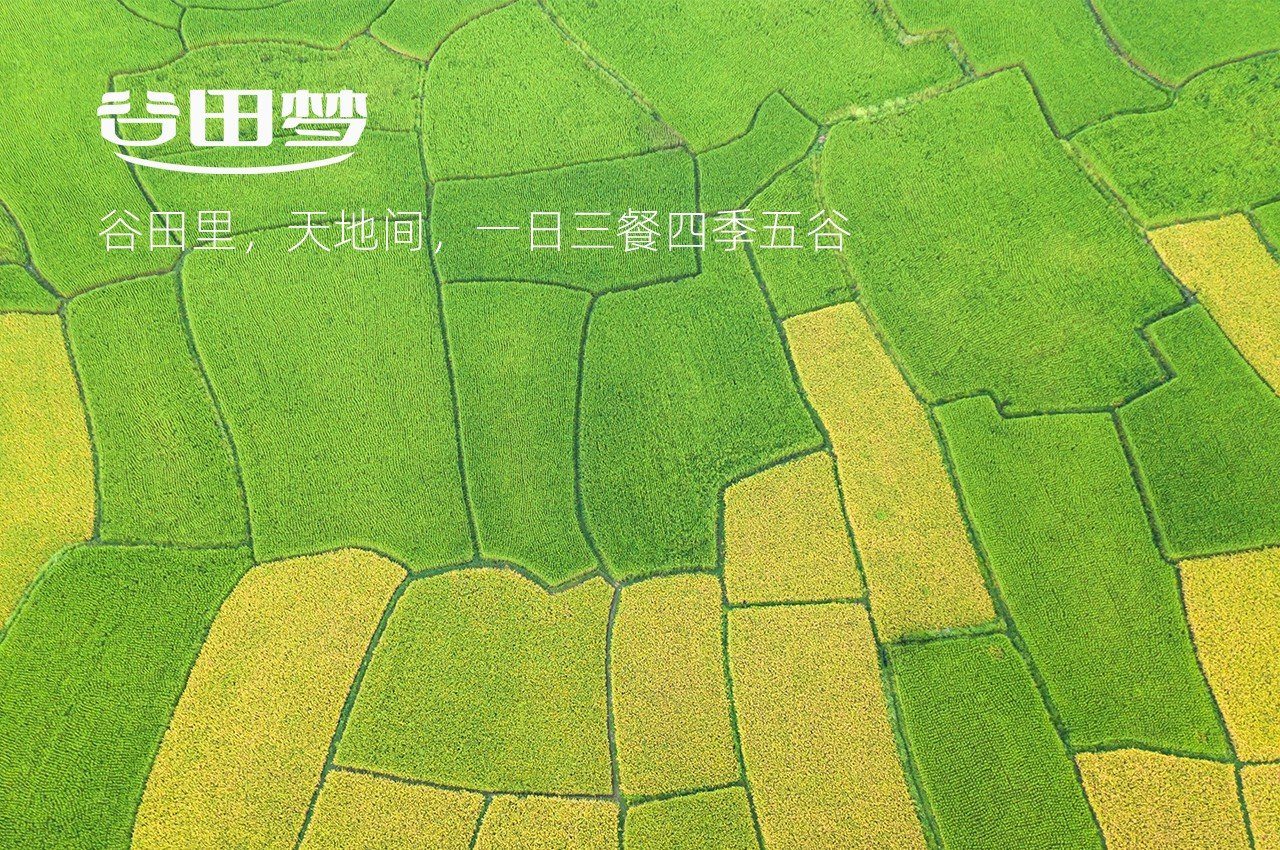 大米的营养成分