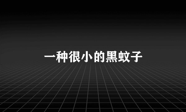 一种很小的黑蚊子