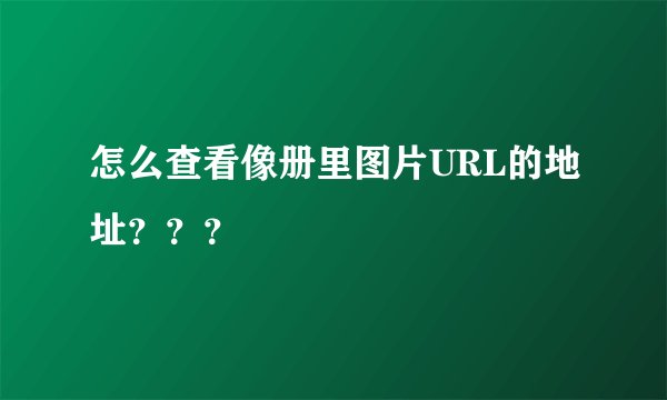 怎么查看像册里图片URL的地址？？？