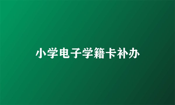 小学电子学籍卡补办