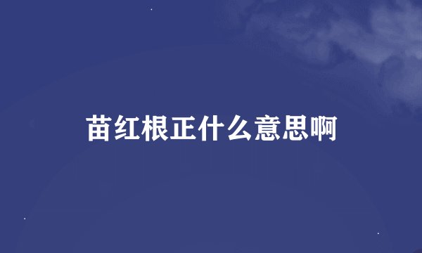 苗红根正什么意思啊